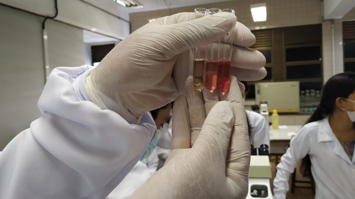 WhatsApp-Image-2022-04-09-at-10.16.31