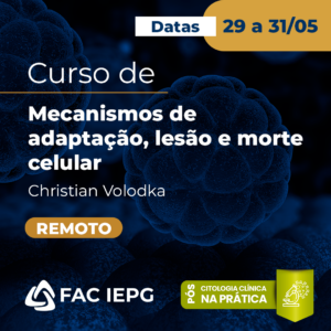 Curso de Mecanismos de adaptação, lesão e morte celular - Remoto